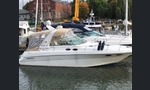 Sea Ray 310-kuva-16